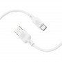 Дата-кабель универ. USB Type-C 1м, 3А, белый BOROFONE BX113