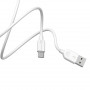 Дата-кабель универ. USB Type-C 3м, 3А, белый BOROFONE BX14